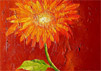 Blumen